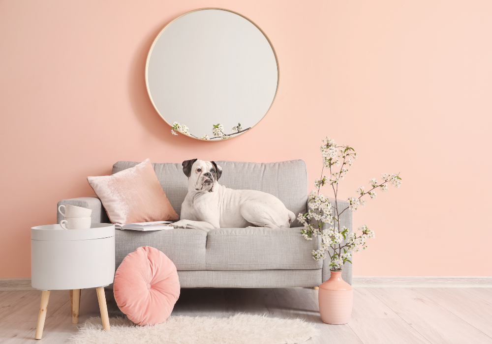 Apricot (màu mơ) phối với màu gì đẹp?