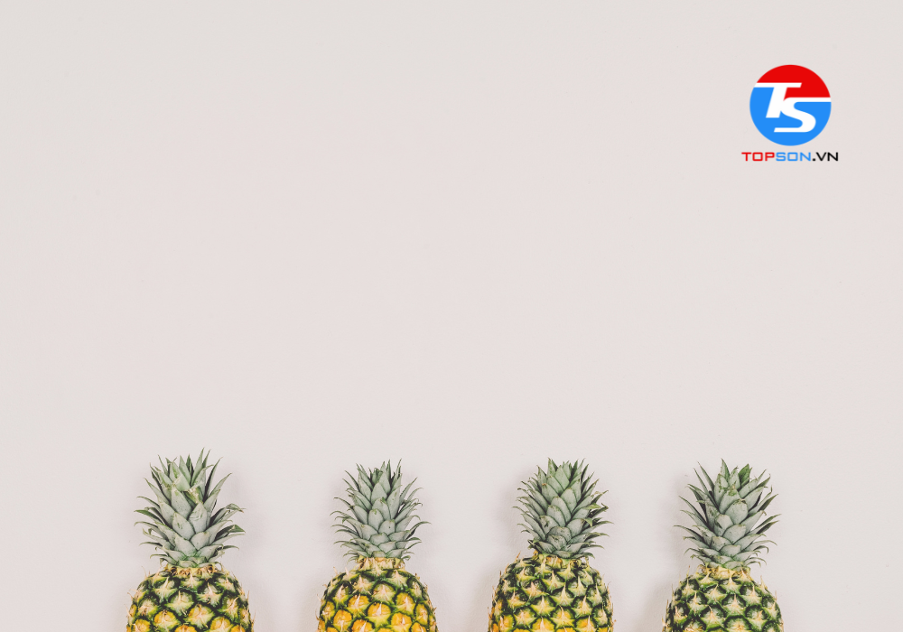 Các cách khử mùi sơn nhà mới hiệu quả