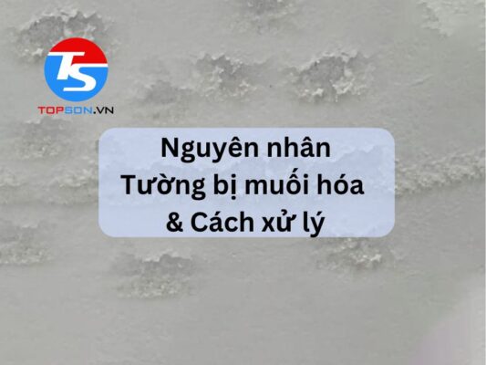 Nguyên nhân tường bị muối hóa và cách xử lý, biện pháp phòng ngừa hiệu quả