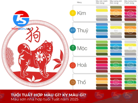 Tuổi tuất sơn nhà màu gì