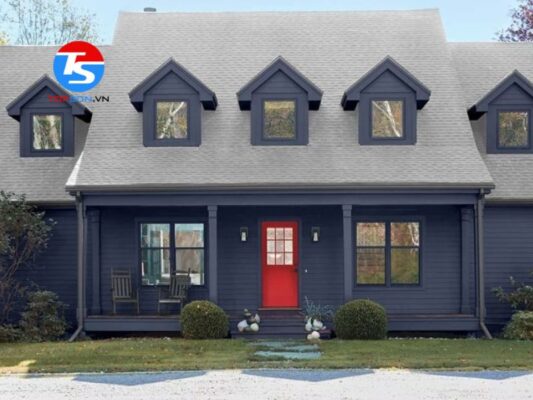 Mẫu sơn nhà mặt tiền màu xanh ghi kết hợp với đen