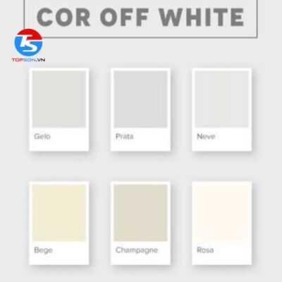 Off white là màu gì